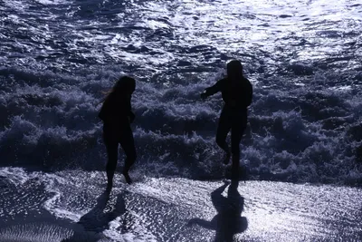 DSC_0492 (Large).JPG